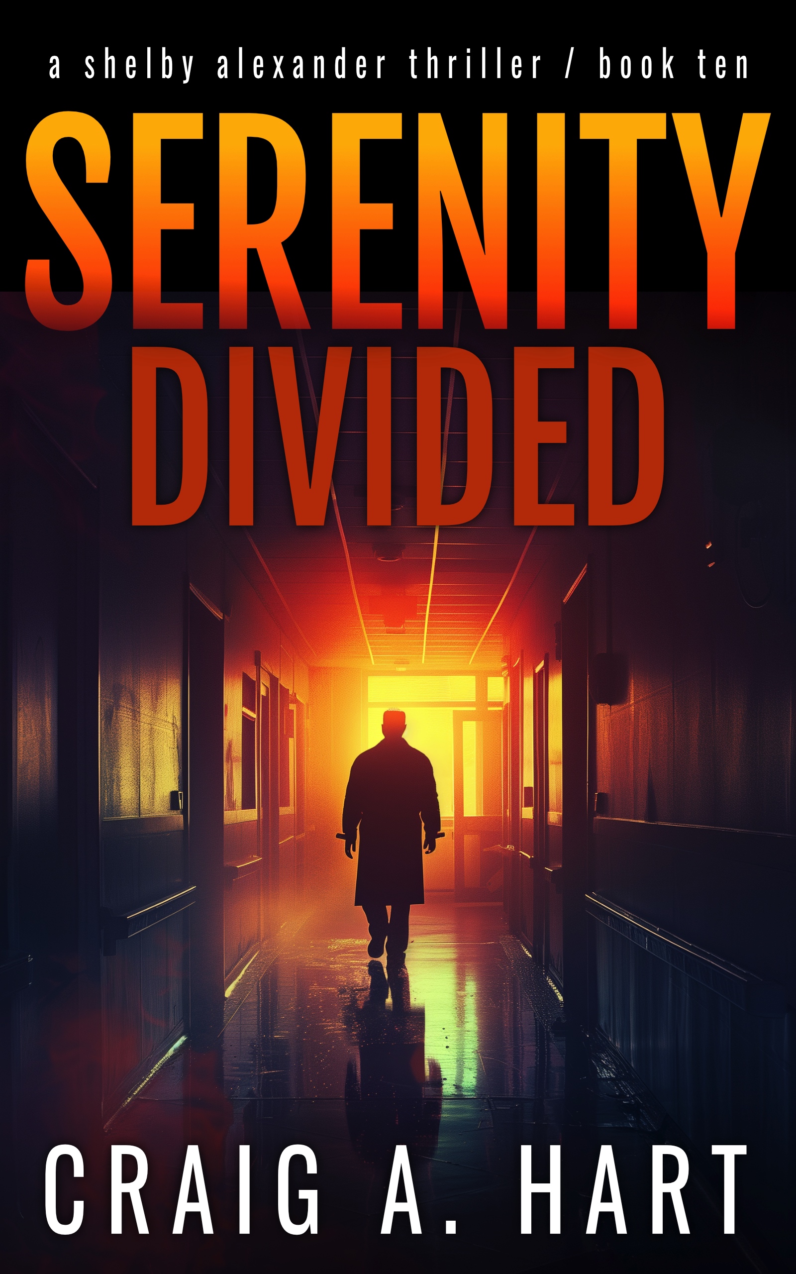 Cover of Serenity Divided