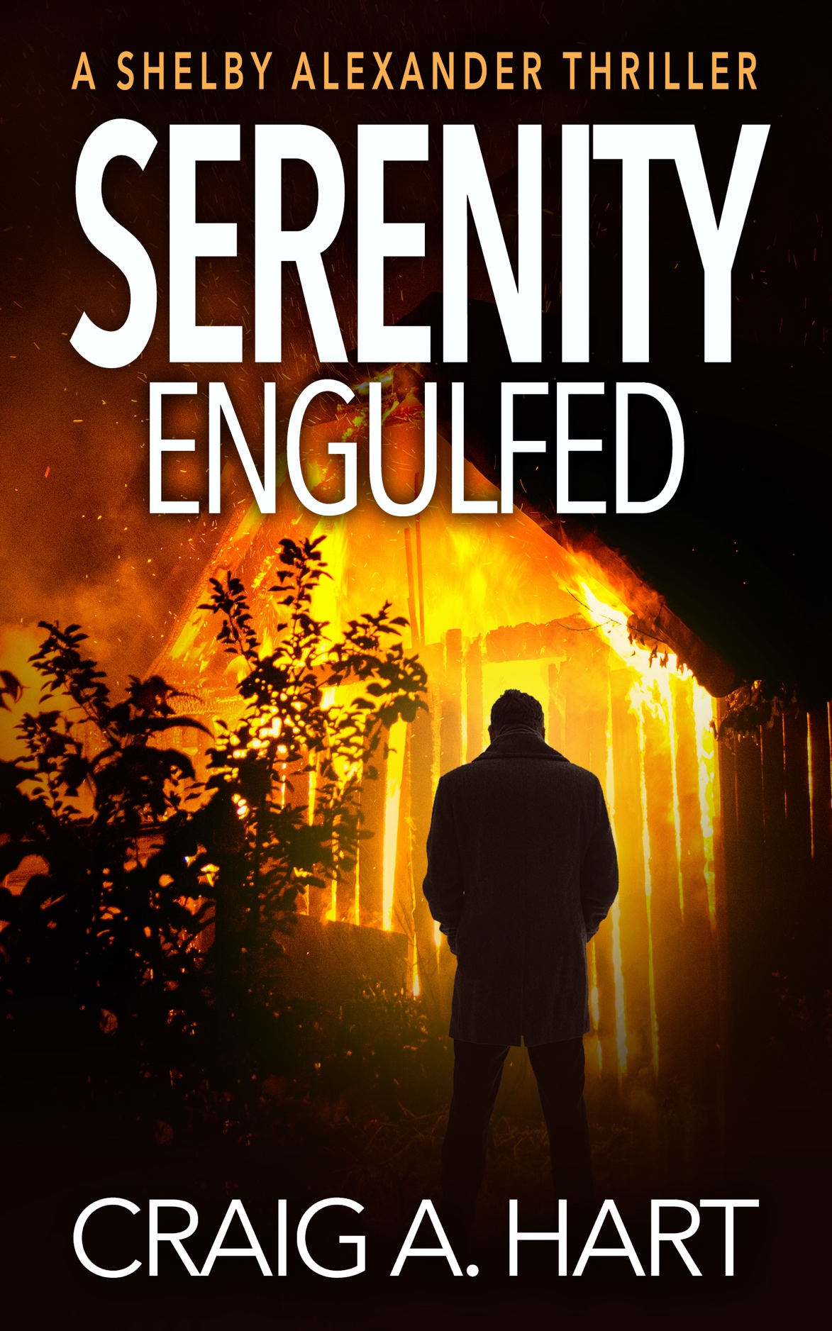 Cover of Serenity Engulfed