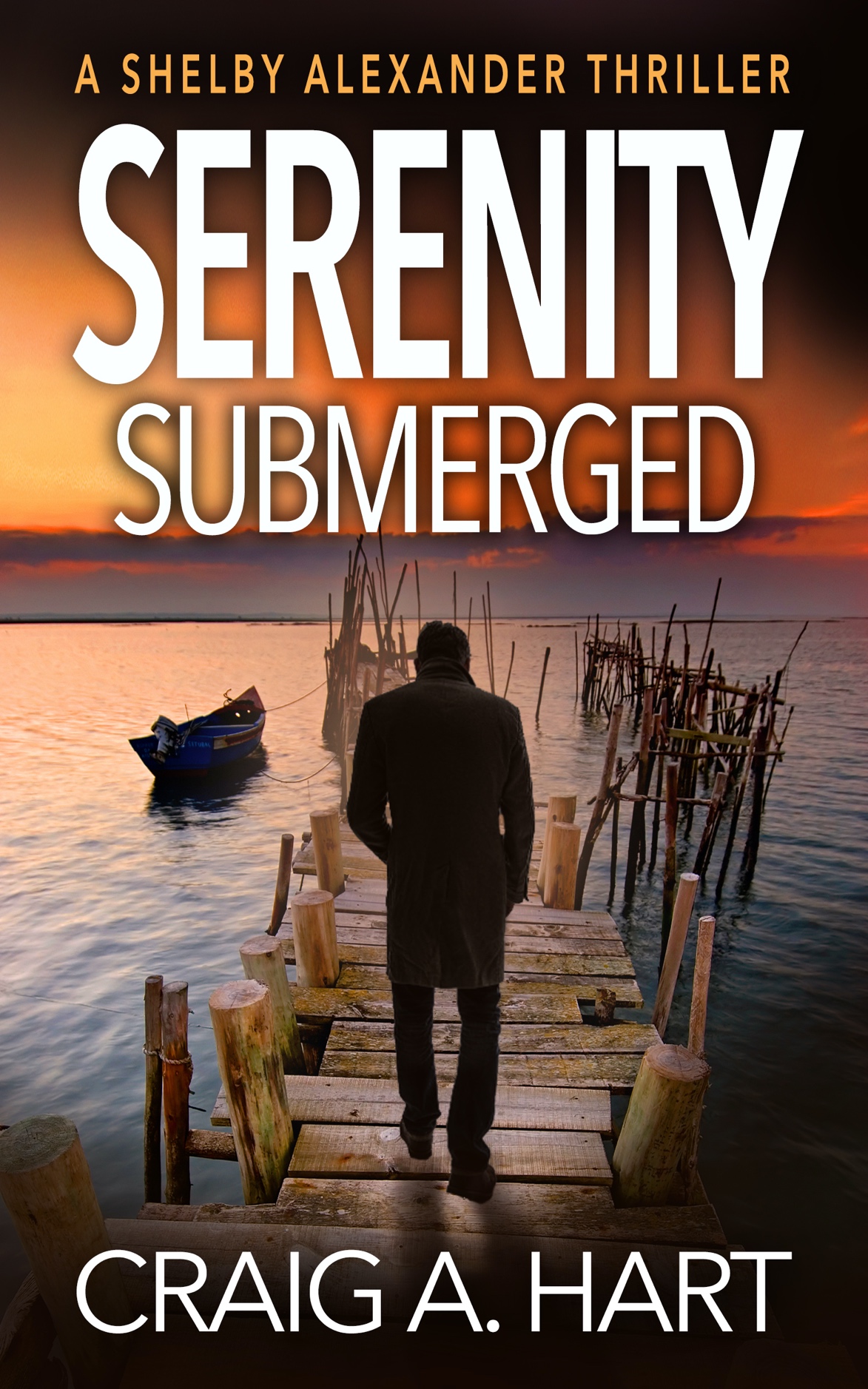 Cover of Serenity Submerged